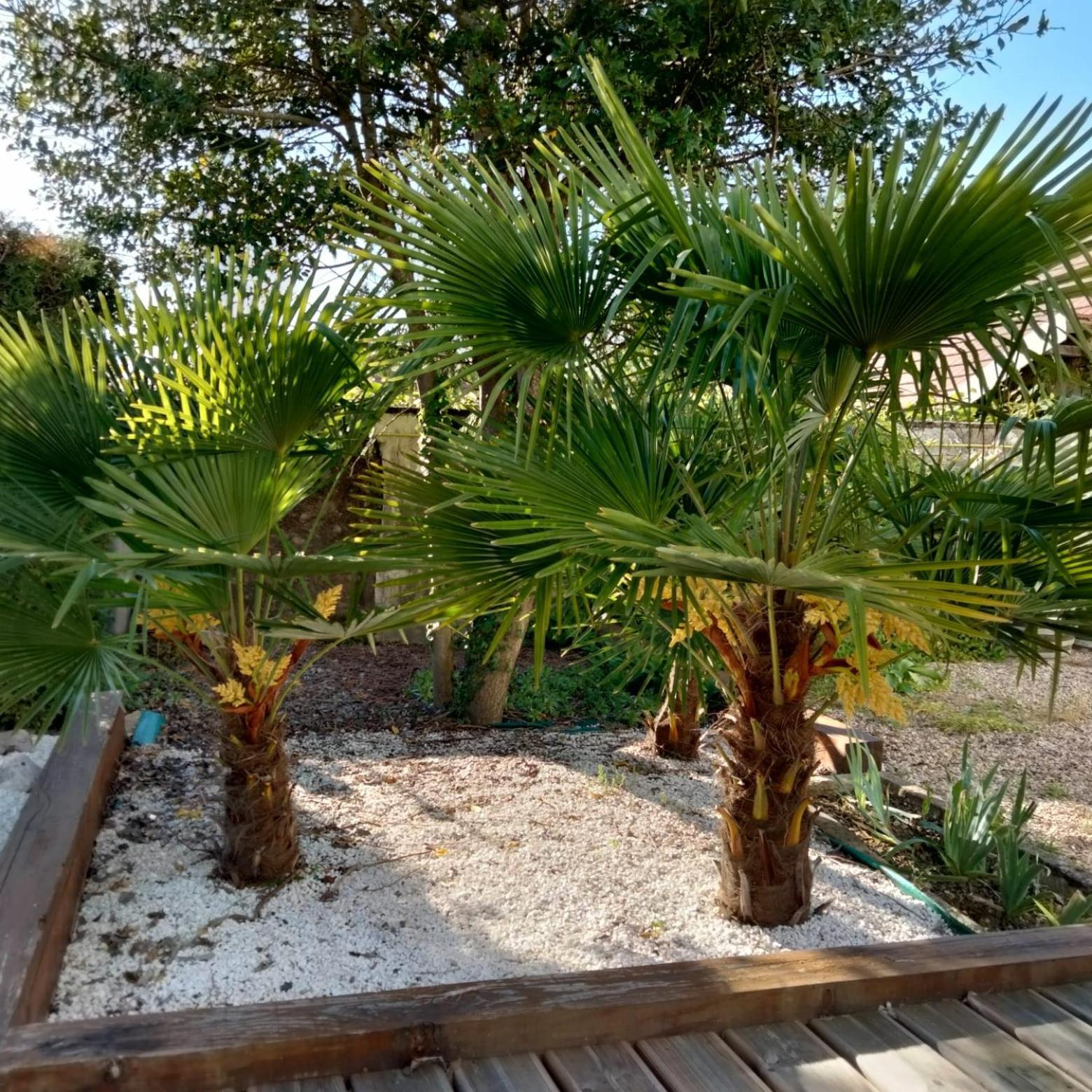 Le Jack Bed & Breakfast Mont-sous-Vaudrey Екстериор снимка